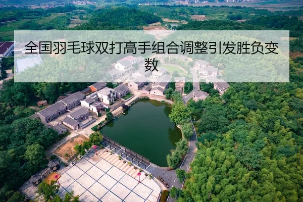全国羽毛球双打高手组合调整引发胜负变数